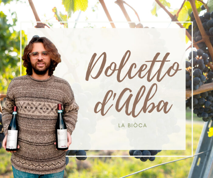 Dolcetto d’Alba Ricciaia La Bioca