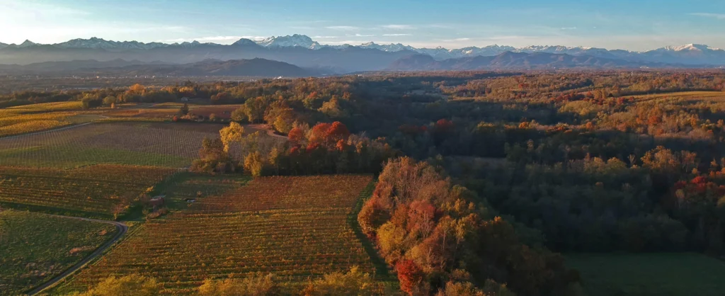 paesaggio azienda agricola mirù